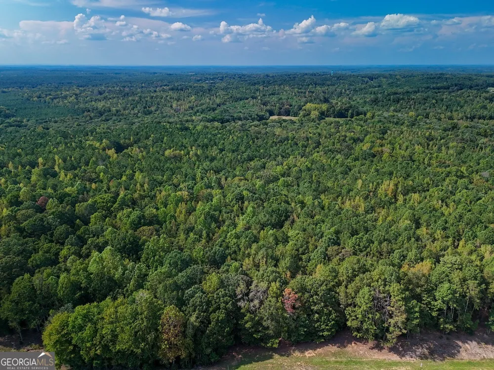 93.49 ACRES Forrest RD Grantville, GA 30220