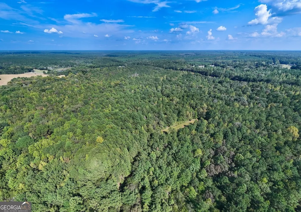 93.49 ACRES Forrest RD Grantville, GA 30220