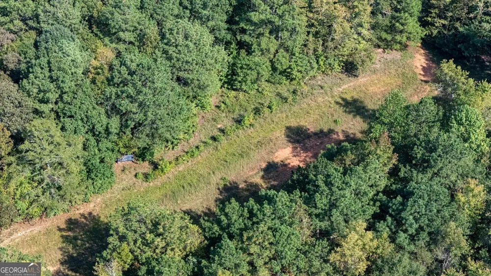 93.49 ACRES Forrest RD Grantville, GA 30220