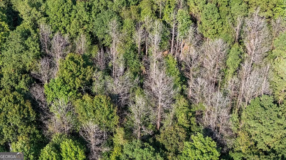 93.49 ACRES Forrest RD Grantville, GA 30220