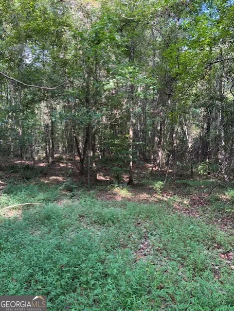 93.49 ACRES Forrest RD Grantville, GA 30220