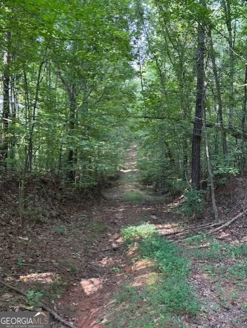 93.49 ACRES Forrest RD Grantville, GA 30220