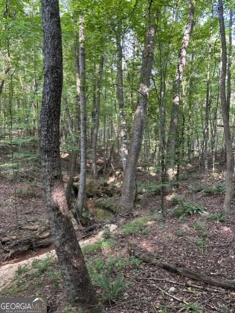 93.49 ACRES Forrest RD Grantville, GA 30220