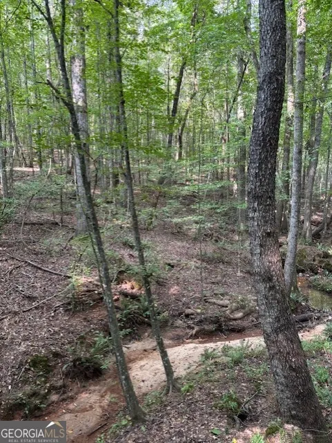 93.49 ACRES Forrest RD Grantville, GA 30220