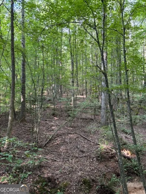 93.49 ACRES Forrest RD Grantville, GA 30220