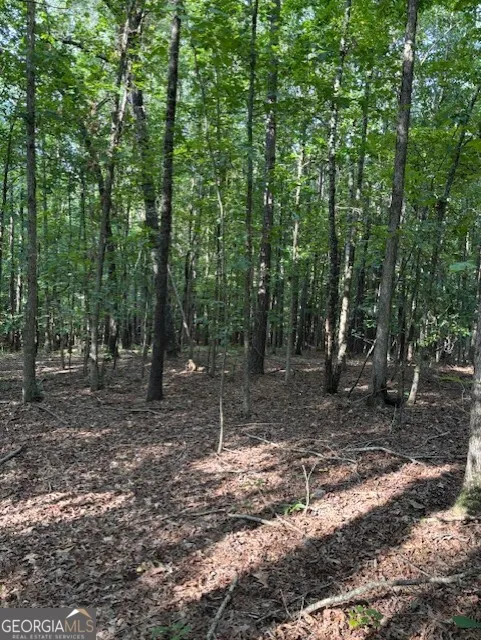 93.49 ACRES Forrest RD Grantville, GA 30220