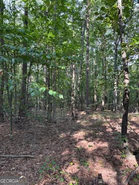 93.49 ACRES Forrest RD Grantville, GA 30220