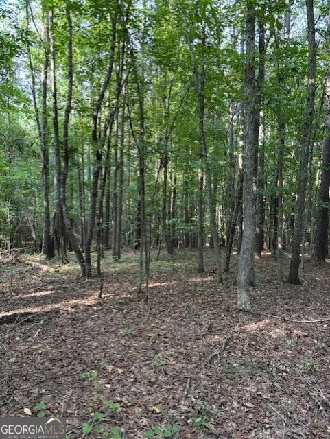 93.49 ACRES Forrest RD Grantville, GA 30220