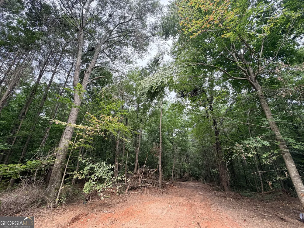 3 Norwood RD Hull, GA 30646