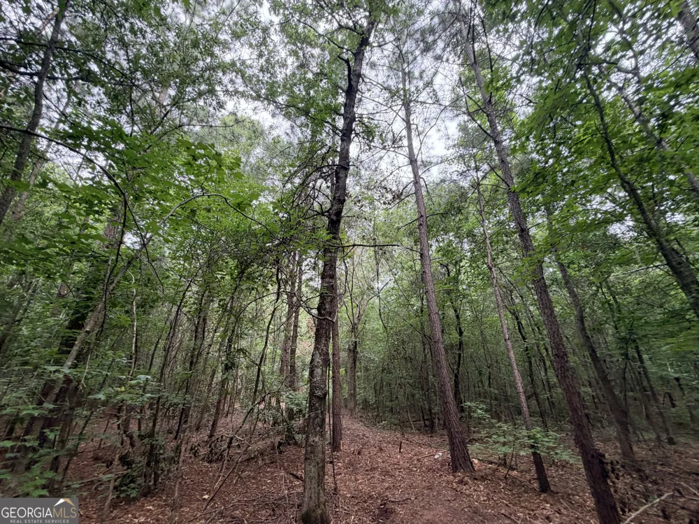 3 Norwood RD Hull, GA 30646