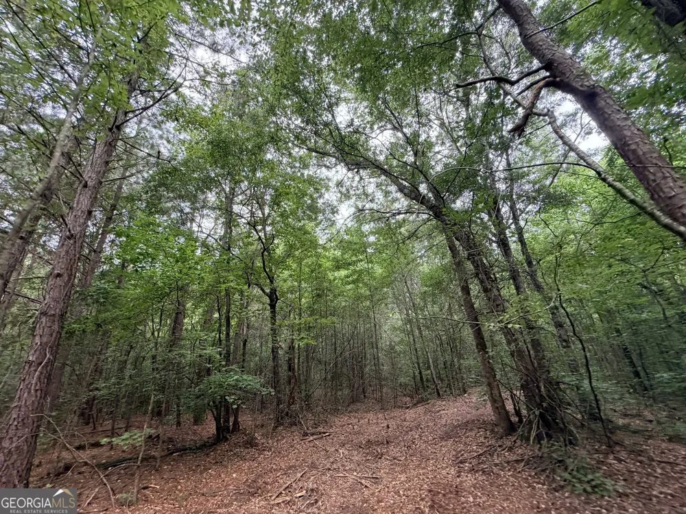 3 Norwood RD Hull, GA 30646