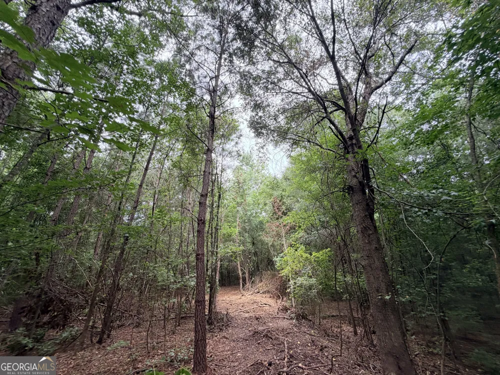 3 Norwood RD Hull, GA 30646