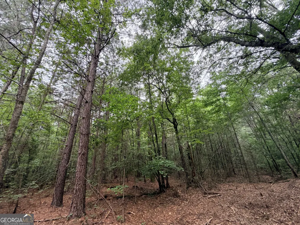3 Norwood RD Hull, GA 30646