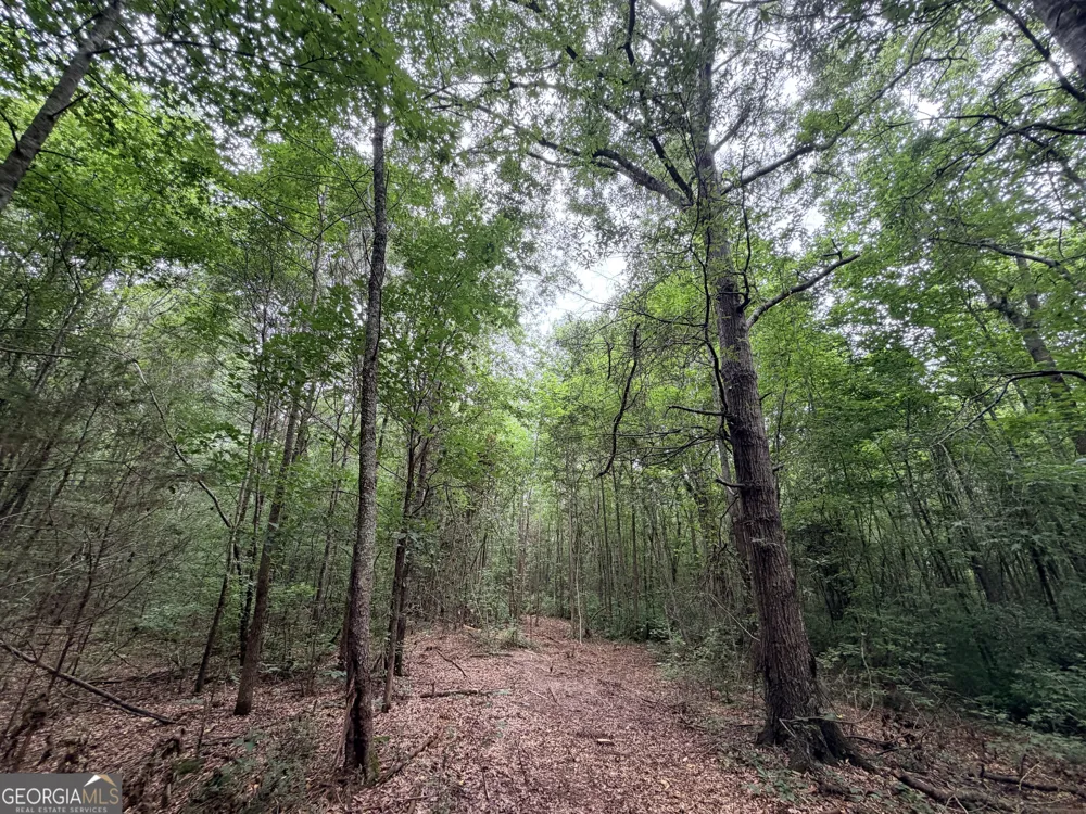 3 Norwood RD Hull, GA 30646