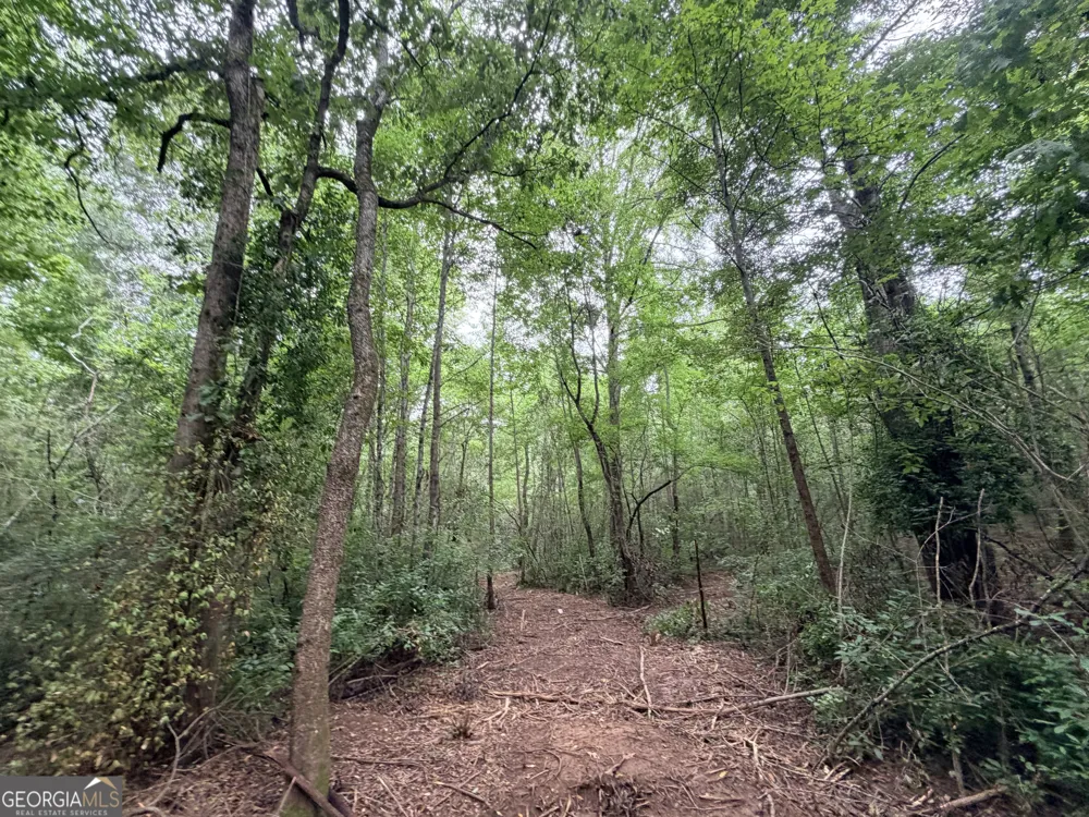 3 Norwood RD Hull, GA 30646