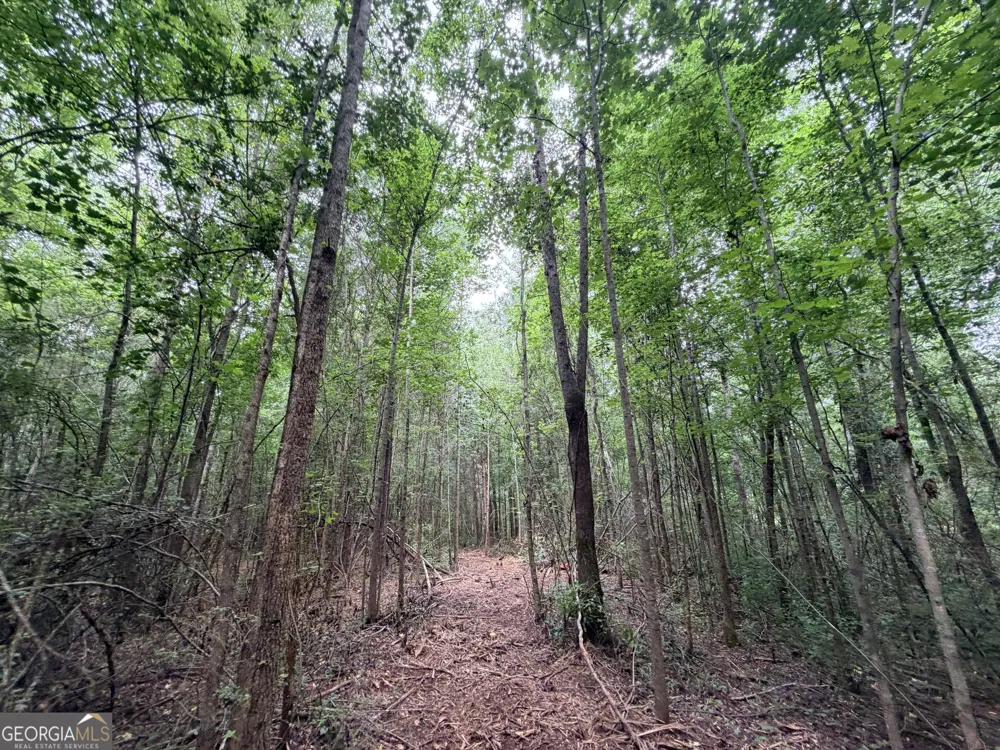 3 Norwood RD Hull, GA 30646