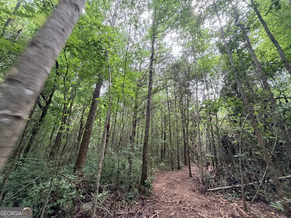 3 Norwood RD Hull, GA 30646