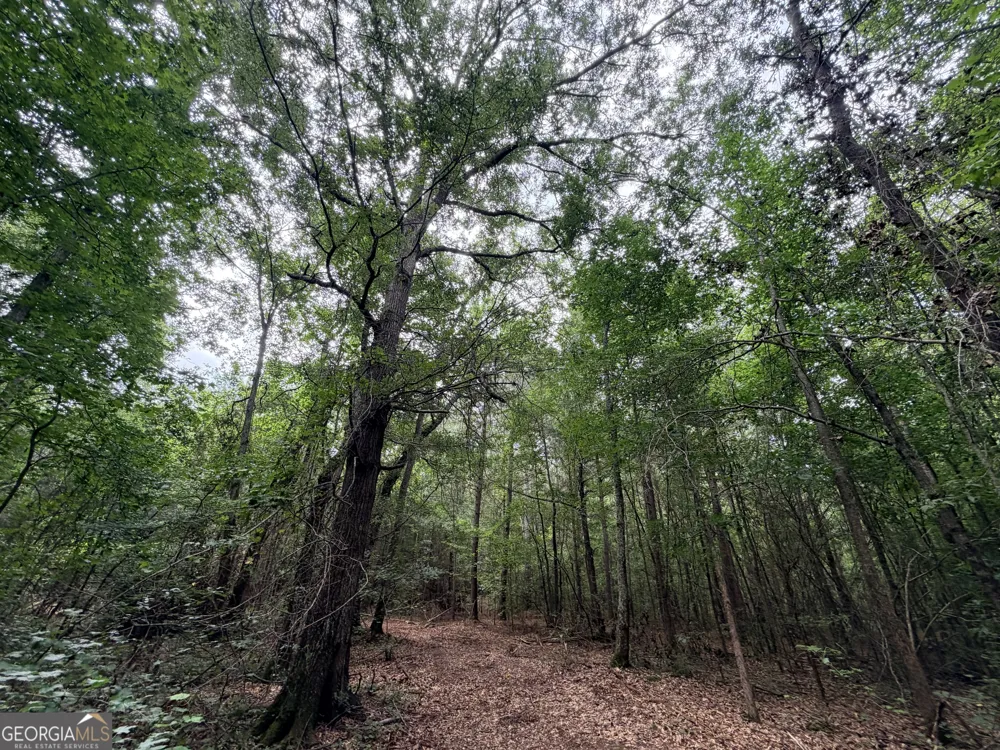 3 Norwood RD Hull, GA 30646