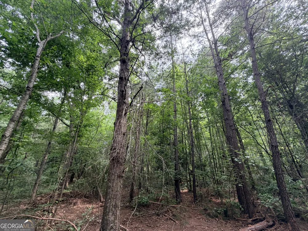 3 Norwood RD Hull, GA 30646