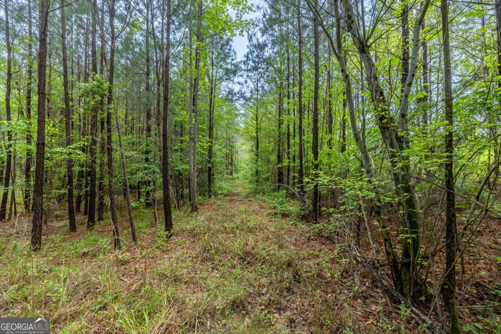 51 Paul Harris RD Dallas, GA 30157