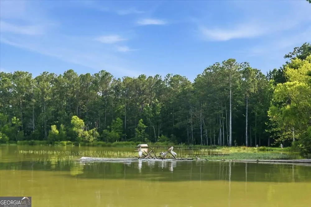 1590 County Road 136 Cedar Bluff, AL 35959