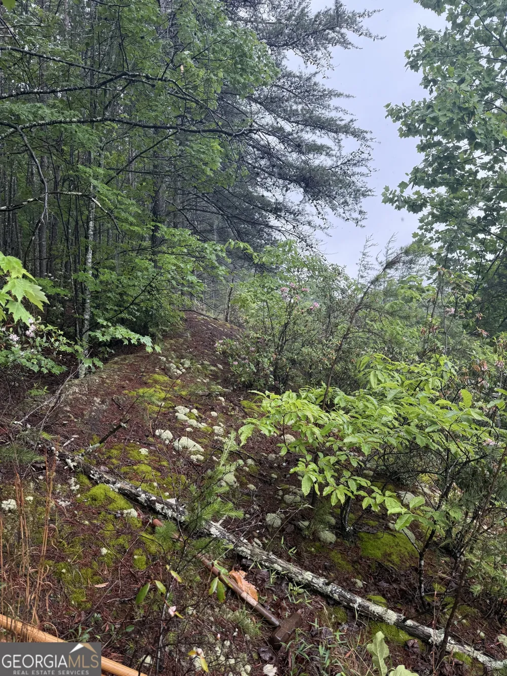 0 441 Expressway Tallulah Falls, GA 30573