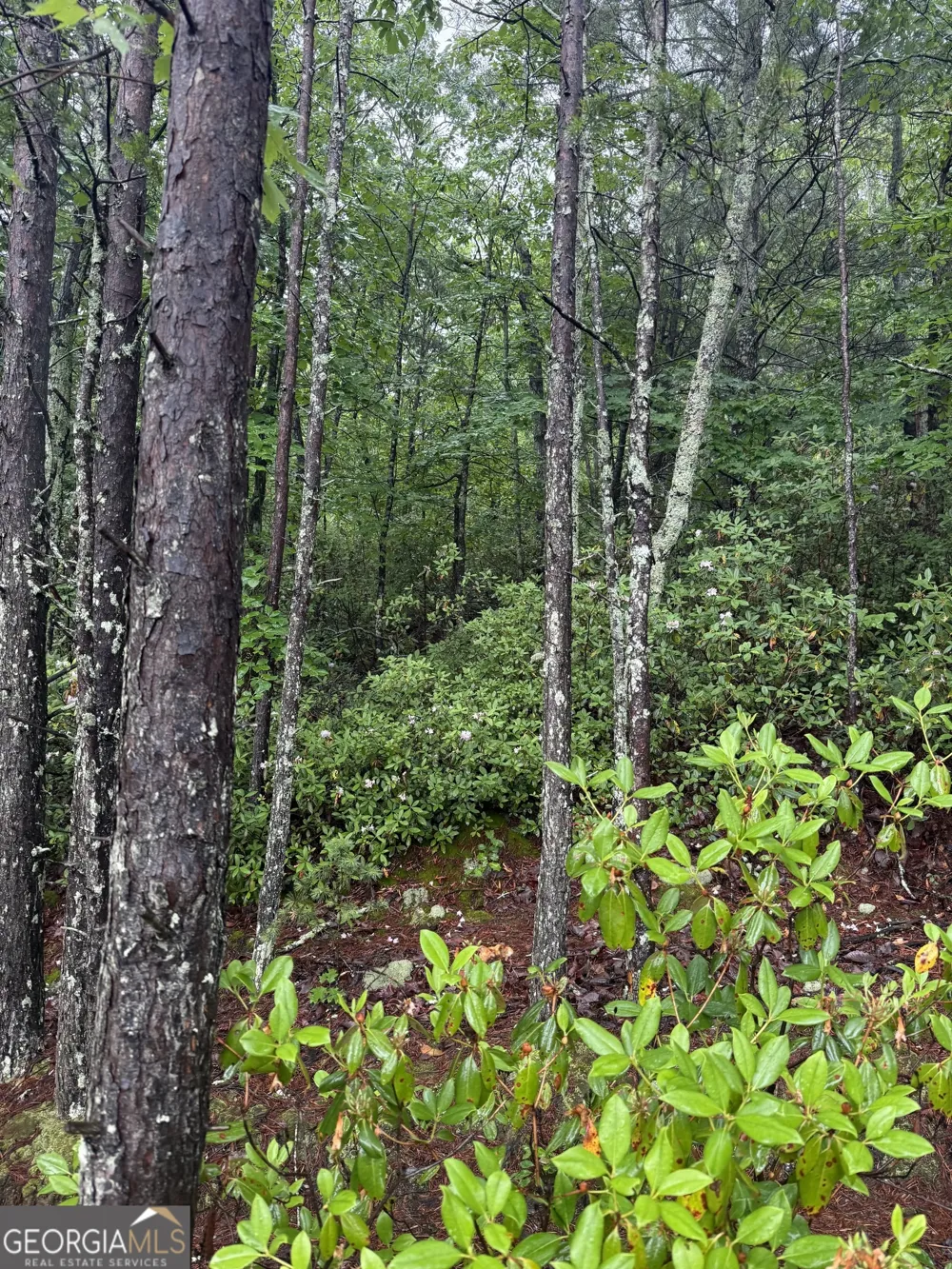 0 441 Expressway Tallulah Falls, GA 30573