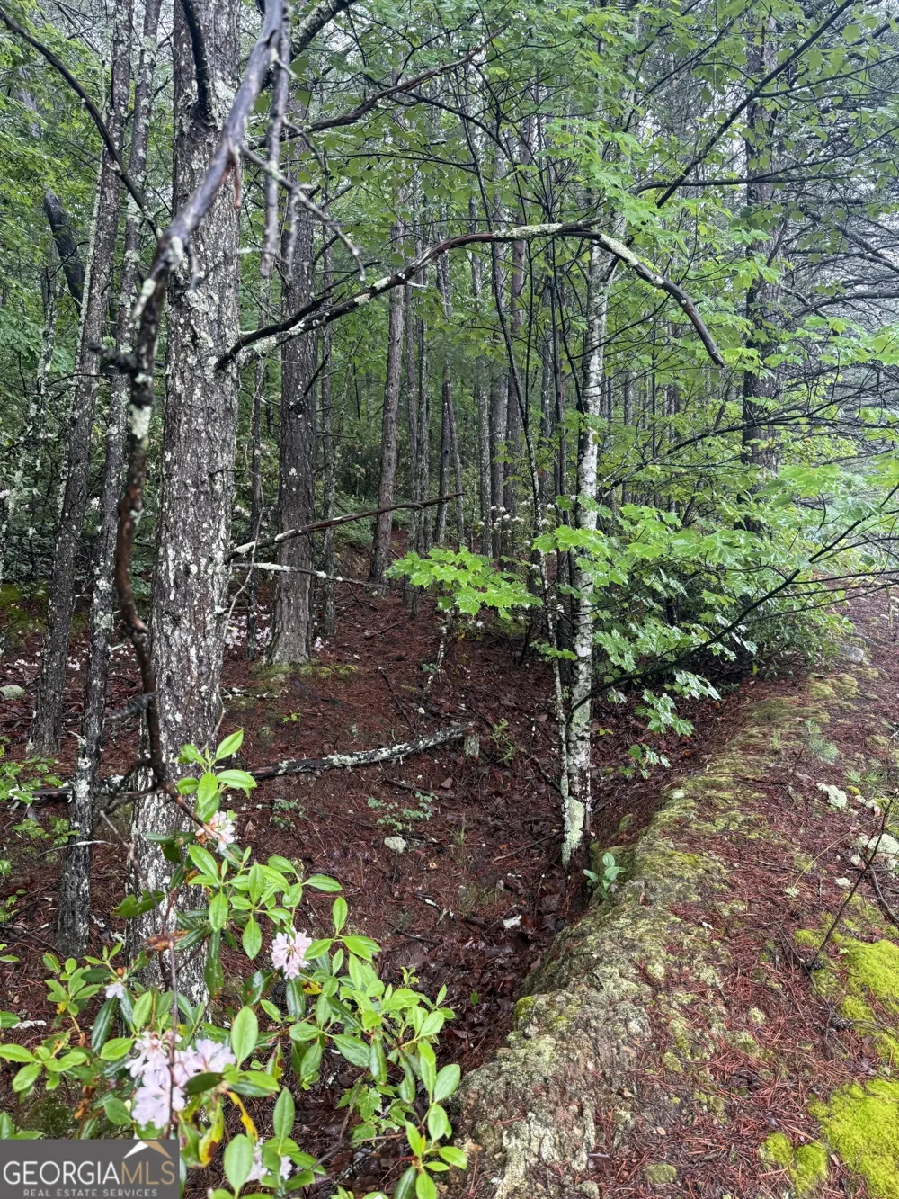 0 441 Expressway Tallulah Falls, GA 30573