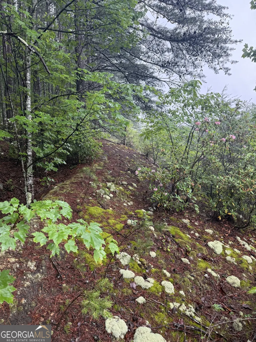 0 441 Expressway Tallulah Falls, GA 30573