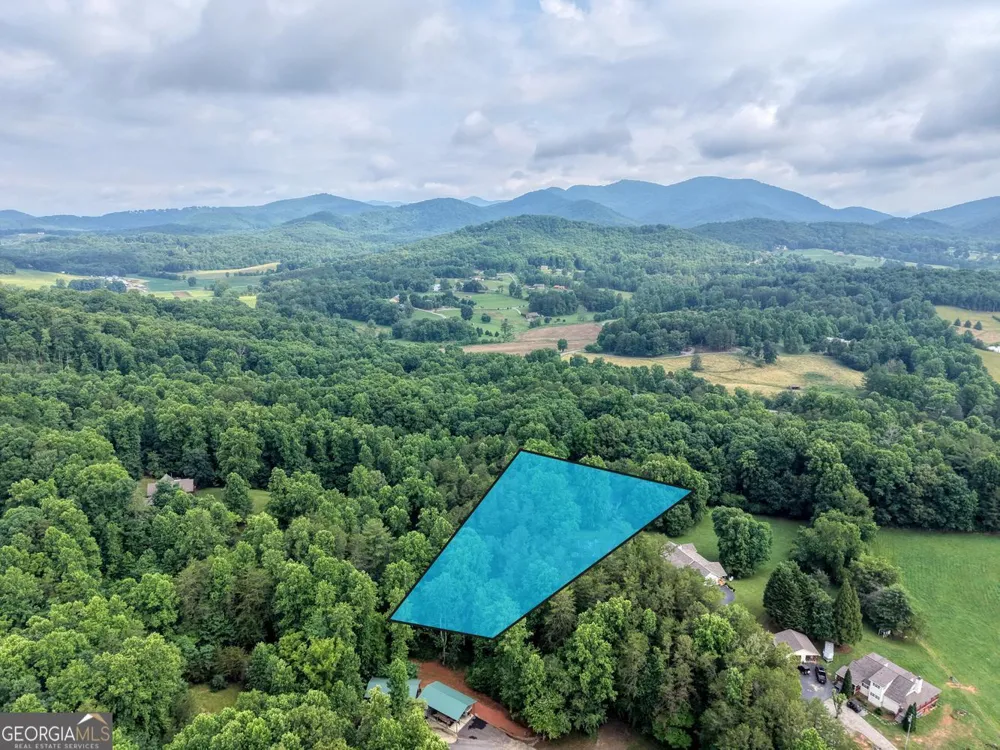 115 Ledge Lane Blairsville, GA 30512