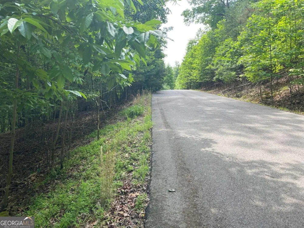 LOT 11 Brumby RUN Blairsville, GA 30512