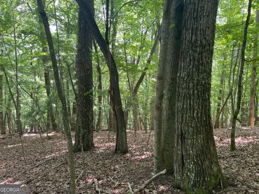 LOT 11 Brumby RUN Blairsville, GA 30512