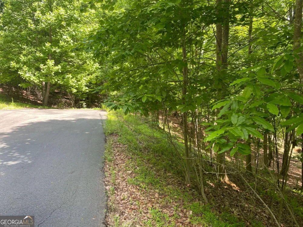 LOT 11 Brumby RUN Blairsville, GA 30512