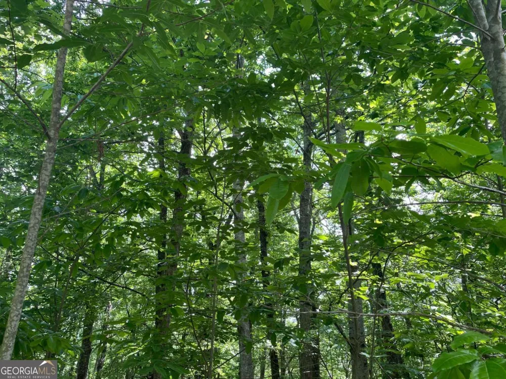 LOT 11 Brumby RUN Blairsville, GA 30512