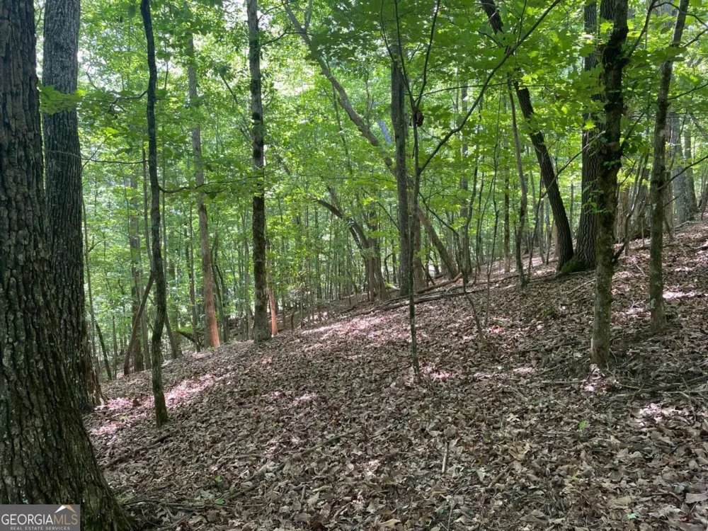 LOT 11 Brumby RUN Blairsville, GA 30512