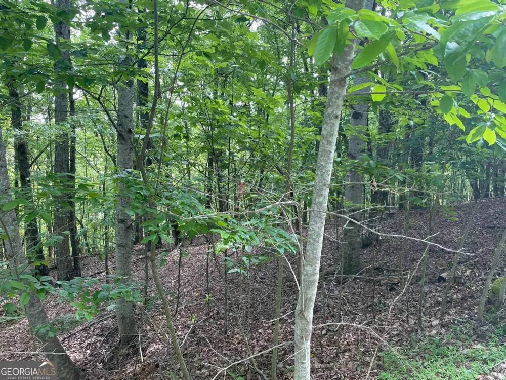 LOT 11 Brumby RUN Blairsville, GA 30512