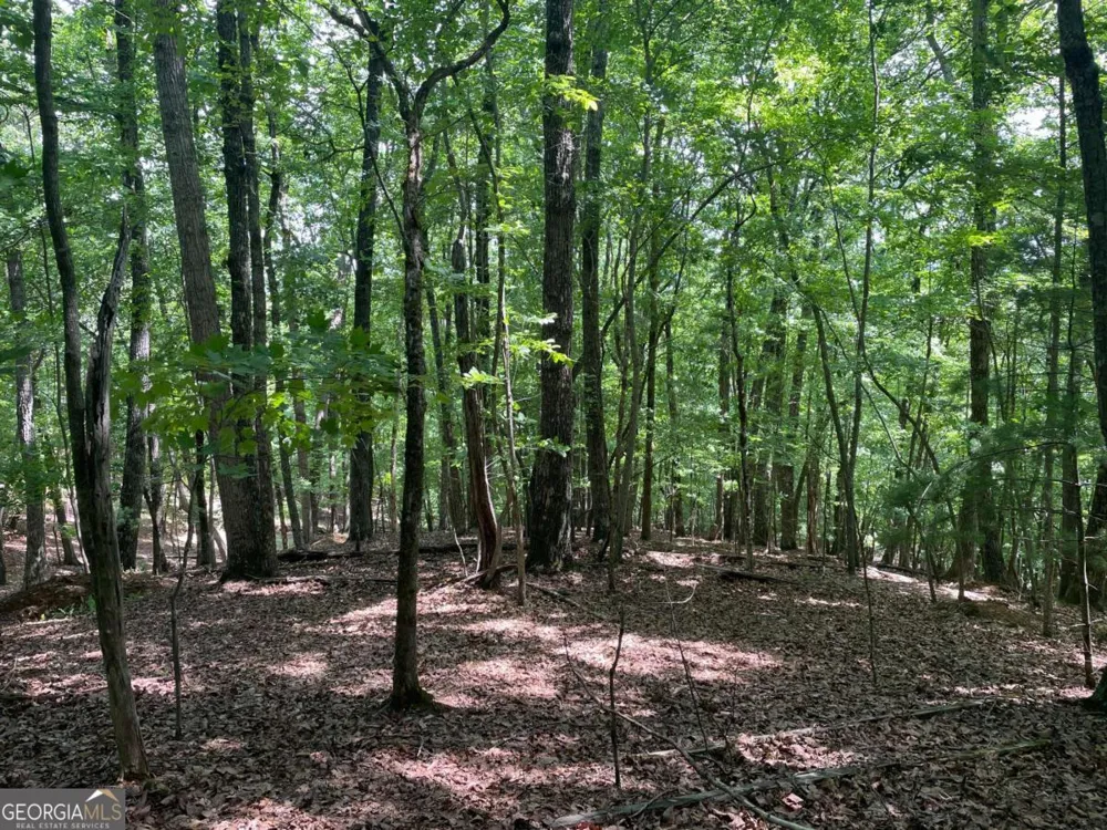 LOT 11 Brumby RUN Blairsville, GA 30512