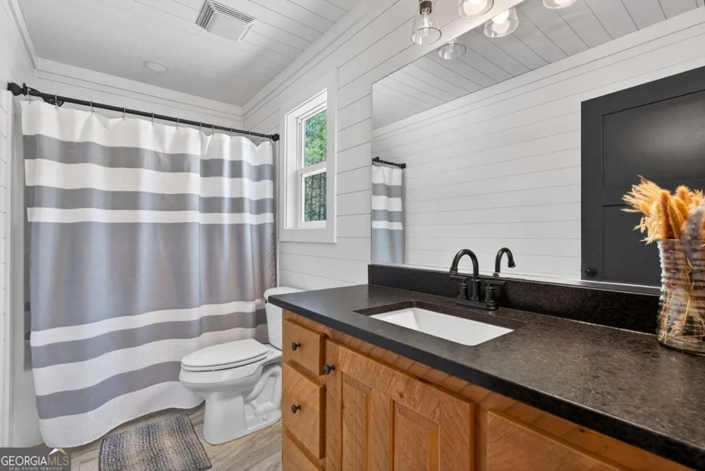54 Barbs WAY Mineral Bluff, GA 30559