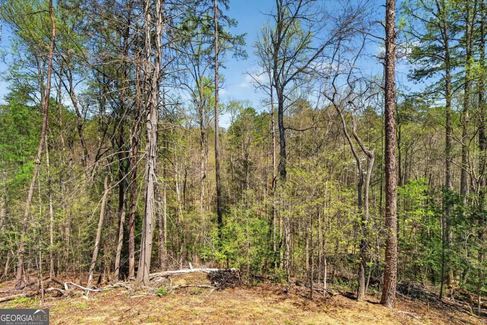 54 Barbs WAY Mineral Bluff, GA 30559