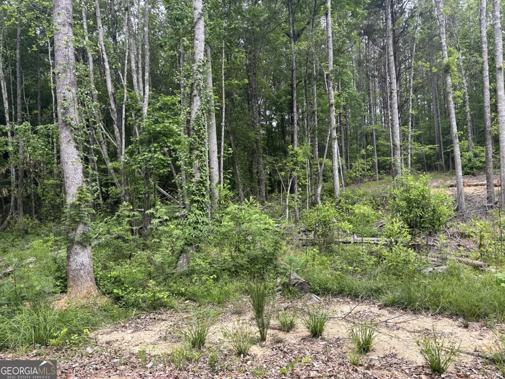 TRACT 2 343 County road 892 Wedowee, AL 36278