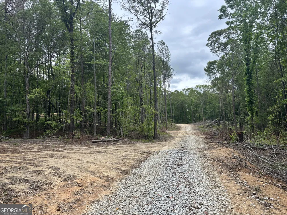 TRACT 2 343 County road 892 Wedowee, AL 36278