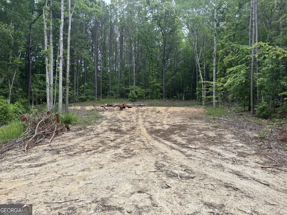 TRACT 2 343 County road 892 Wedowee, AL 36278