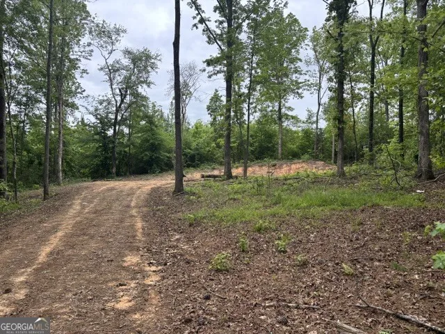 TRACT 1 343 County road 892 Wedowee, AL 36278