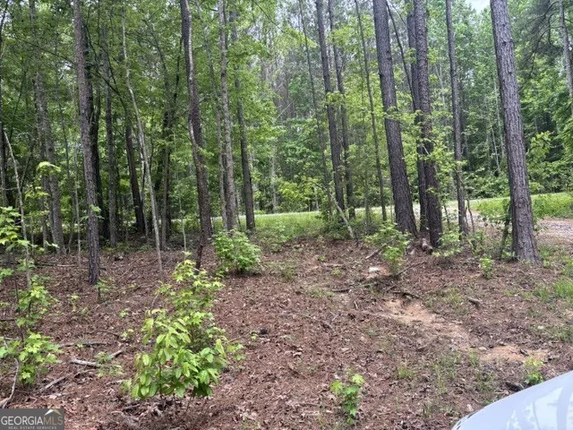 TRACT 1 343 County road 892 Wedowee, AL 36278