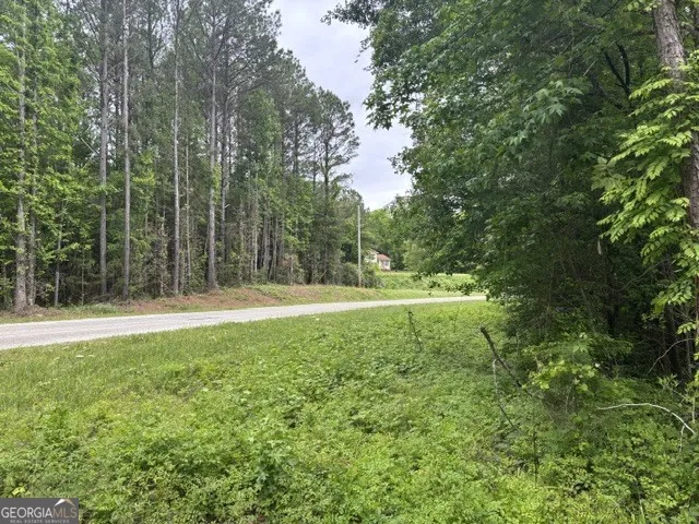 TRACT 1 343 County road 892 Wedowee, AL 36278