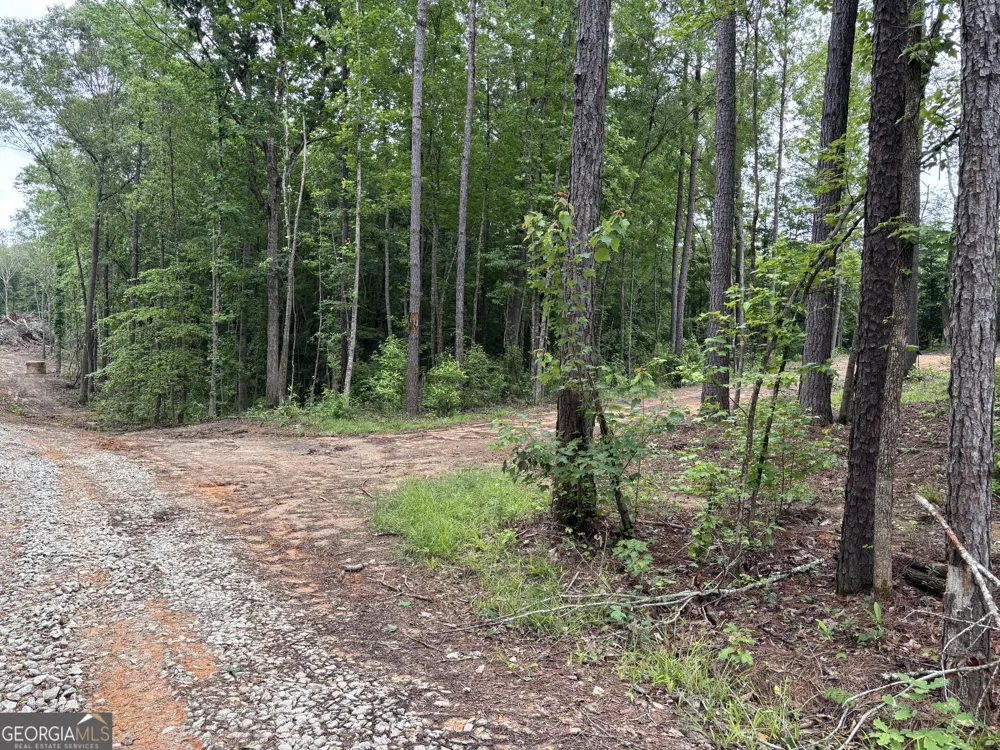 TRACT 1 343 County road 892 Wedowee, AL 36278