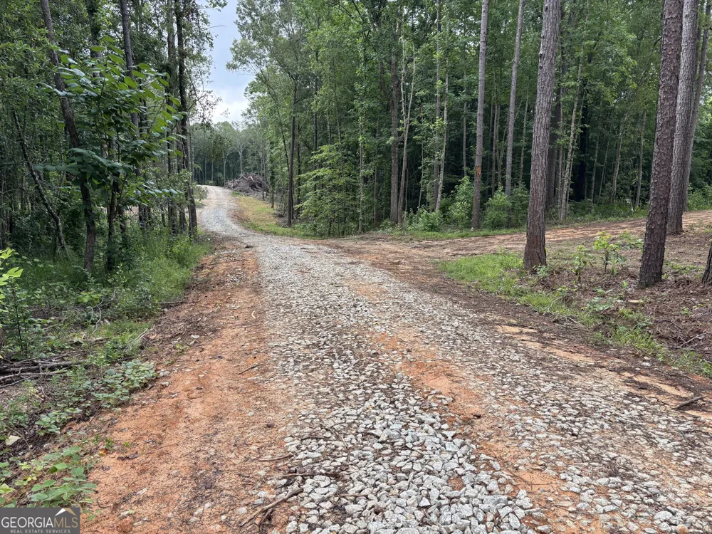 TRACT 1 343 County road 892 Wedowee, AL 36278