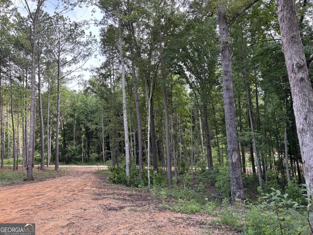 TRACT 1 343 County road 892 Wedowee, AL 36278