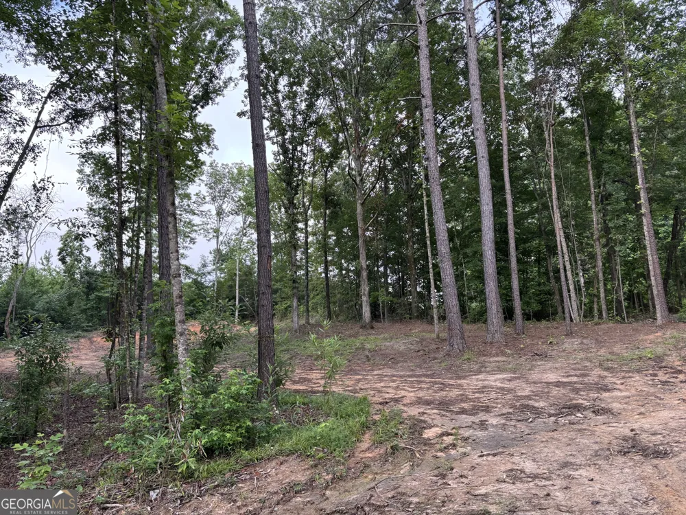 TRACT 1 343 County road 892 Wedowee, AL 36278