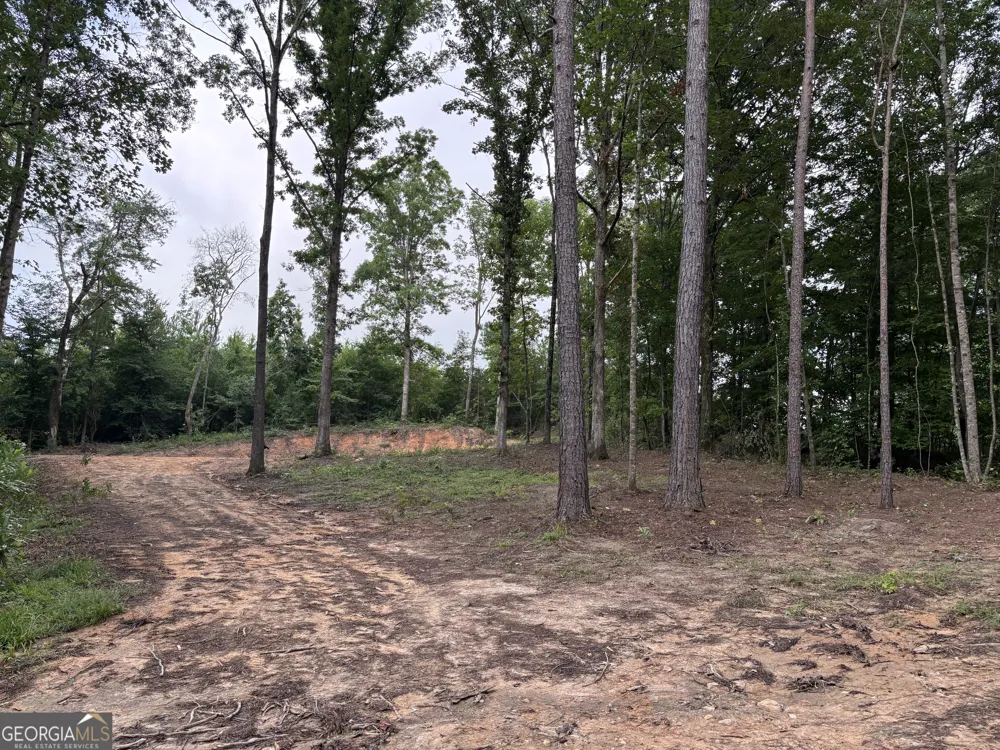 TRACT 1 343 County road 892 Wedowee, AL 36278